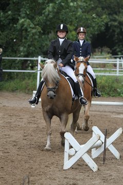 Bild 966 - WBO-Turnier am 18.9.11